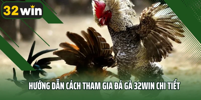 Hướng dẫn cách tham gia đá gà 32win chi tiết