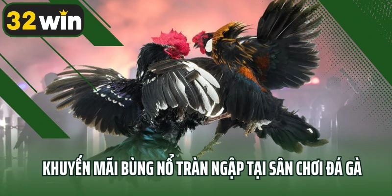 Khuyến mãi bùng nổ tràn ngập tại sân chơi đá gà 32win