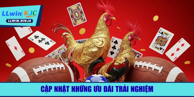 cap-nhat-nhung-uu-dai-trai-nghiem